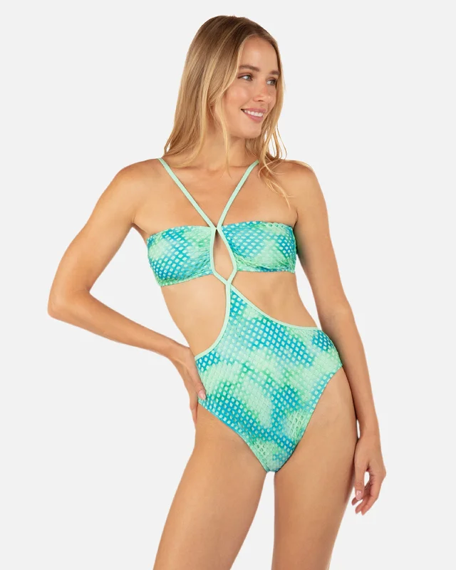 Color Wash Mesh Moderate One Piece